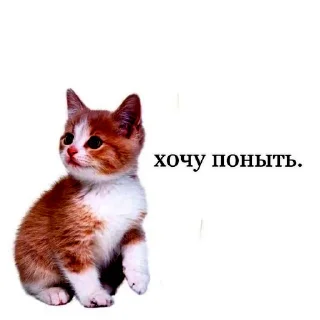 🥲 emoji я же девочка 🫢 Telegram sticker 20 of 118