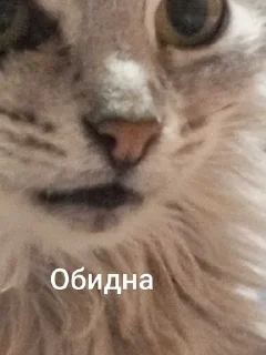 😊 emoji 🌟 Статический Telegram sticker 13 of 17