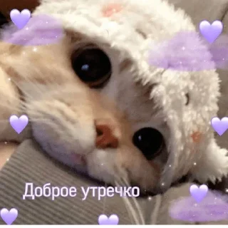 🙂 emoji luv<3 Telegram sticker 6 of 115