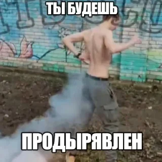 👊 emoji х ВАЙТ СКОТ х Telegram sticker 12 of 50