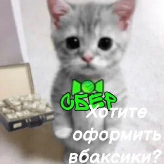 😉 emoji Легенды котов Telegram sticker 11 of 24