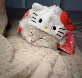 🌟 emoji киты 1.0 🐈‍⬛ Telegram sticker 5 of 53