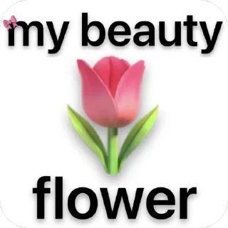 🫥 emoji БЬЮТИ ФЛАВЕР Telegram sticker 5 of 16
