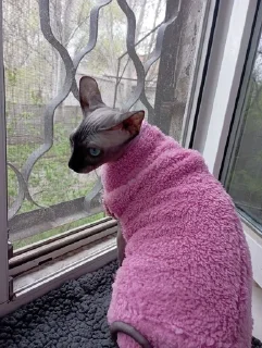 🌟 emoji асюня Telegram sticker 6 of 9