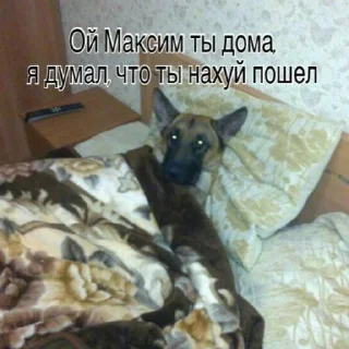 😴 emoji Макс иди нахуй Telegram sticker 8 of 40
