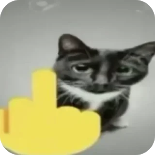 🐱 emoji Мэн Telegram sticker 14 of 34
