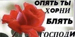 Sticker from хуйня