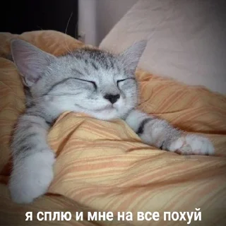 💤 emoji Шо Telegram sticker 12 of 77
