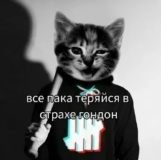 🌟 emoji куколд Telegram sticker 5 of 27