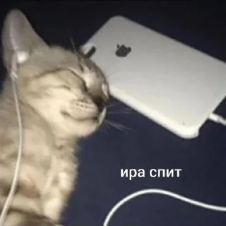 🌟 emoji ваня и ира 😼 Telegram sticker 11 of 18