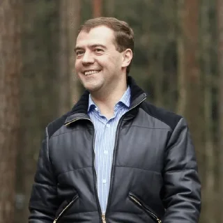 🌟 emoji Medvedev | стикерпак админа Telegram sticker 23 of 87