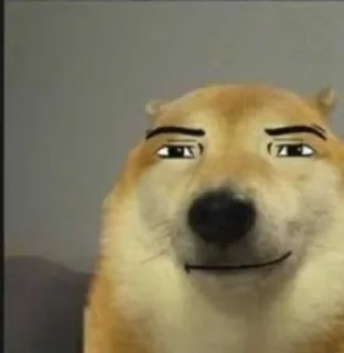 🐕 emoji фу глесты Telegram sticker 19 of 37