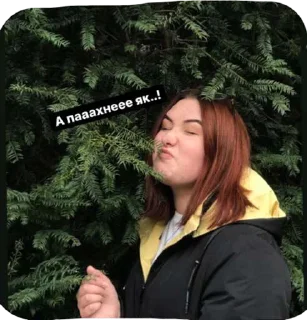 😿 emoji Рембо Telegram sticker 10 of 61