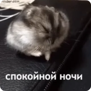 😴 emoji БОЛЬШЕ ⇨ @CLOOBHUB МЕМНЫЕ СТИКЕРЫ ТЕТРАДЬ СМЕРТИ Telegram sticker 8 of 62