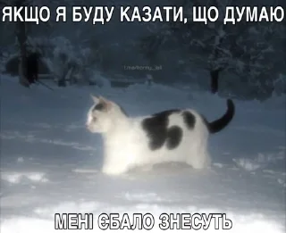 Sticker from стикеры меченого