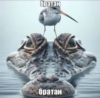 🌟 emoji милосла хуесо😅😅 Telegram sticker 2 of 52