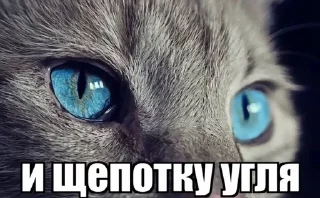 🌟 emoji милосла хуесо😅😅 Telegram sticker 13 of 52