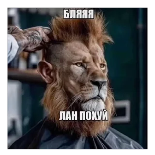 🫥 emoji Necessary Turtle Telegram sticker 17 of 78