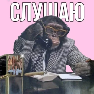 ☎️ emoji 🌸семья🌸 Telegram sticker 13 of 98