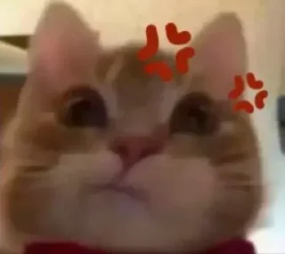 🤨 emoji БОЛЬШЕ ⇨ @FULLSITION Telegram sticker 23 of 76