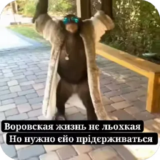 🤩 emoji Манкі Тт Telegram sticker 10 of 120