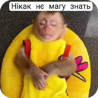 😴 emoji Манкі Тт Telegram sticker 18 of 120