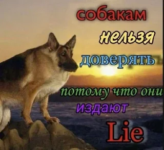 Sticker from Животные/тру няшки