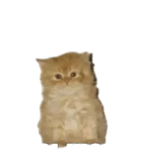😳 emoji cats by. @MortonPlug Telegram sticker 20 of 30