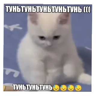 😓 emoji Тупа я Telegram sticker 18 of 78