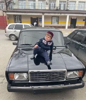 🌟 emoji Хасбик Telegram sticker 23 of 38