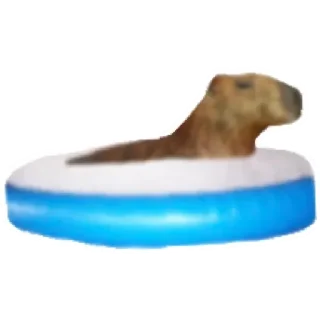 💚 emoji Капибара Telegram sticker 20 of 30