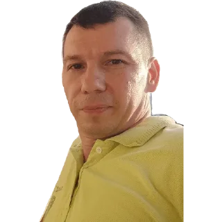 🙃 emoji Николаичь Every Day Telegram sticker 14 of 14