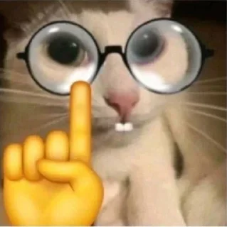 👼 emoji Повар спрашивает повара @KarbanTG Telegram sticker 22 of 120