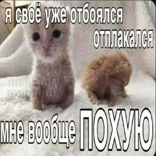🙈 emoji оло Telegram sticker 17 of 120