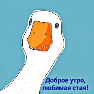 💤 emoji 🪿🦆 Telegram sticker 8 of 120