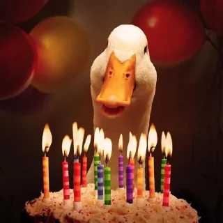 🥳 emoji 🪿🦆 Telegram sticker 21 of 120
