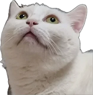 😀 emoji Всратыши Telegram sticker 20 of 23