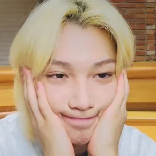 😔 emoji Stray kids Telegram sticker 23 of 120