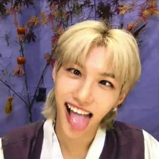 🤪 emoji Stray kids Telegram sticker 5 of 120