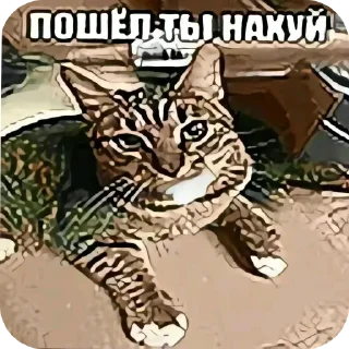 🖼 emoji пиздатый пак Telegram sticker 19 of 37