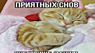 Sticker from стикеры от некита