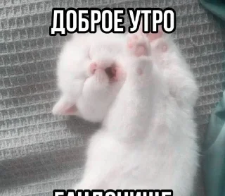 Sticker from стикеры от некита