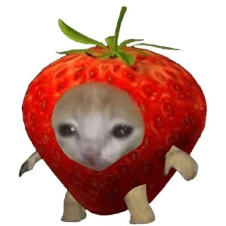 🍓 emoji грустный кот Telegram sticker 22 of 44
