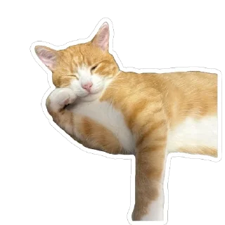 Sticker from Кот Луч