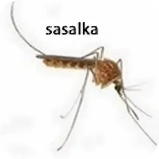 🐞 emoji Ипат Telegram sticker 12 of 82