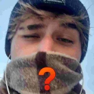 ❓ emoji шаурма с насваем Telegram sticker 1 of 12