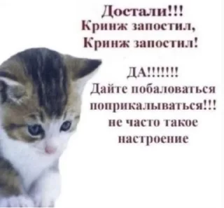 🌟 emoji у всех есть этот стикерпак Telegram sticker 13 of 101