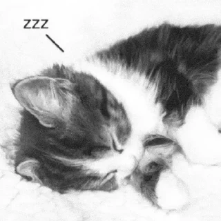 😴 emoji Kitten Telegram sticker 23 of 43