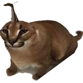 🖕 emoji Большой Шлепа Telegram sticker 12 of 25
