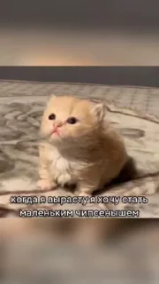 Sticker from Смешнявки